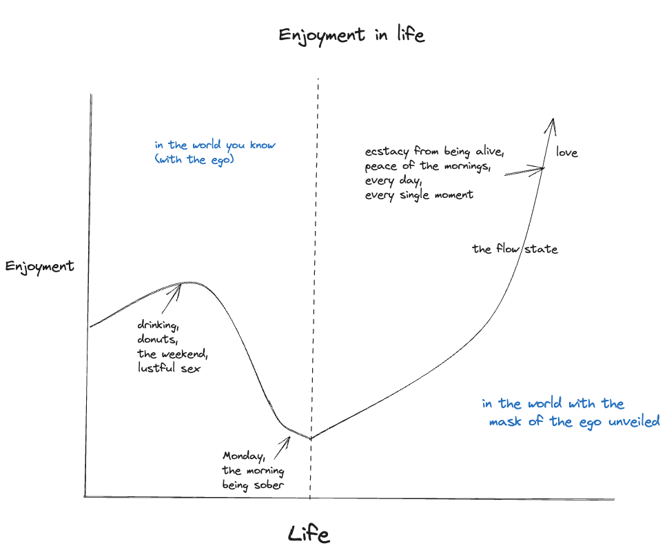 Enjoyment In Life